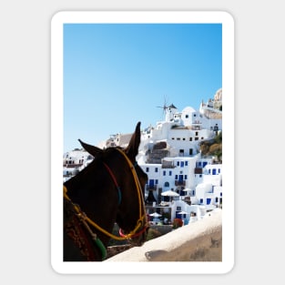 Donkey's View Of Oia, Santorini Sticker